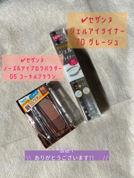 ノーズ&アイブロウパウダー/CEZANNE/パウダーアイブロウを使ったクチコミ(1枚目)