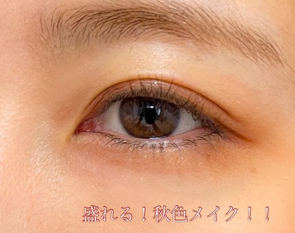 ベージュトーンアイシャドウ/CEZANNE/アイシャドウパレットを使ったクチコミ(2枚目)