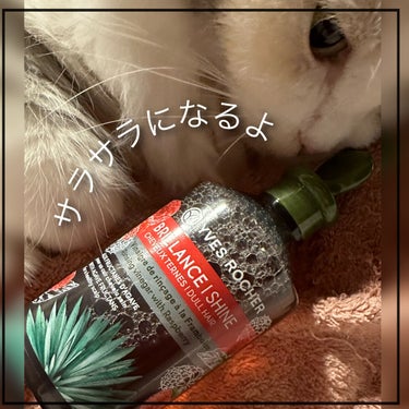 リンシングビネガー シルキーシャイン さらキララズベリー リンシングビネガー さらキララズベリー 400ml【旧】/イヴ・ロシェ/洗い流すヘアトリートメントを使ったクチコミ（3枚目）