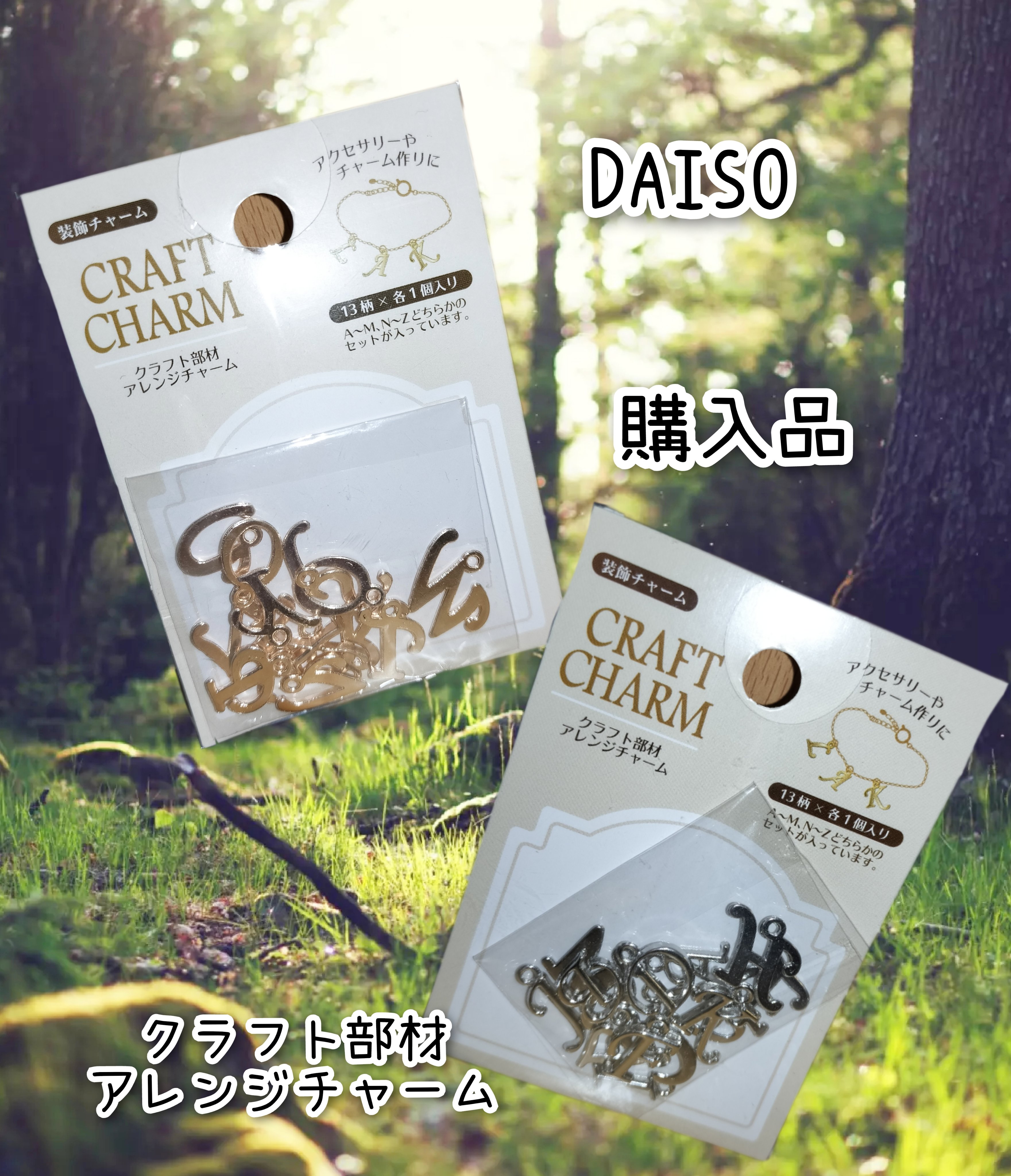 クラフト部材アレンジチャーム/DAISO/その他を使ったクチコミ（1枚目）