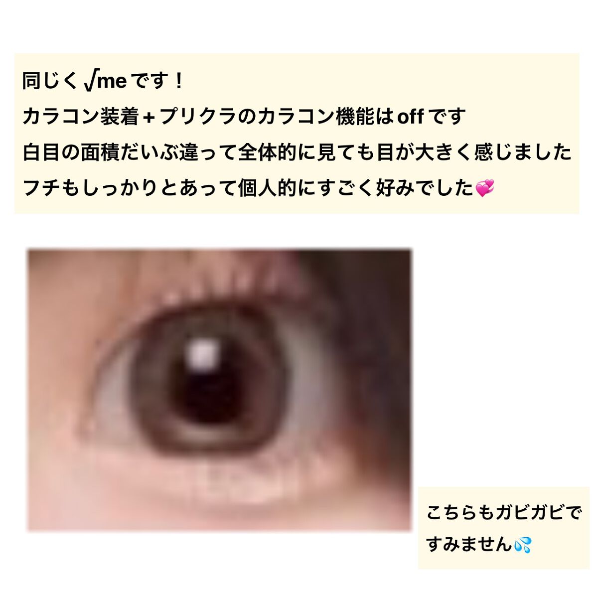 1DAY Refrear elebelle/Refrear/ワンデー(1DAY)カラコンを使ったクチコミ(4枚目)