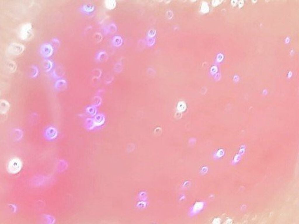 パラダイスオーロラシャインリップトリートメント/DEAR DAHLIA/リップグロスを使ったクチコミ(7枚目)