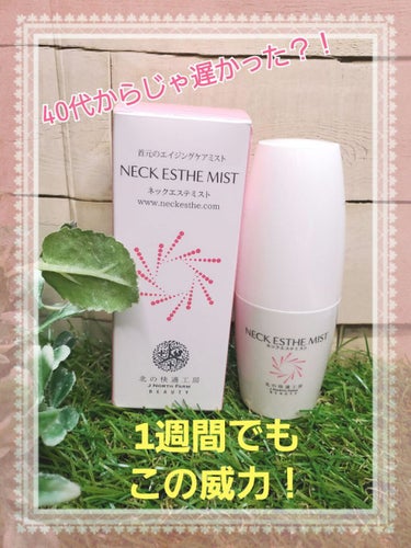 北の快適工房 ネックエステミスト 30mL×3箱