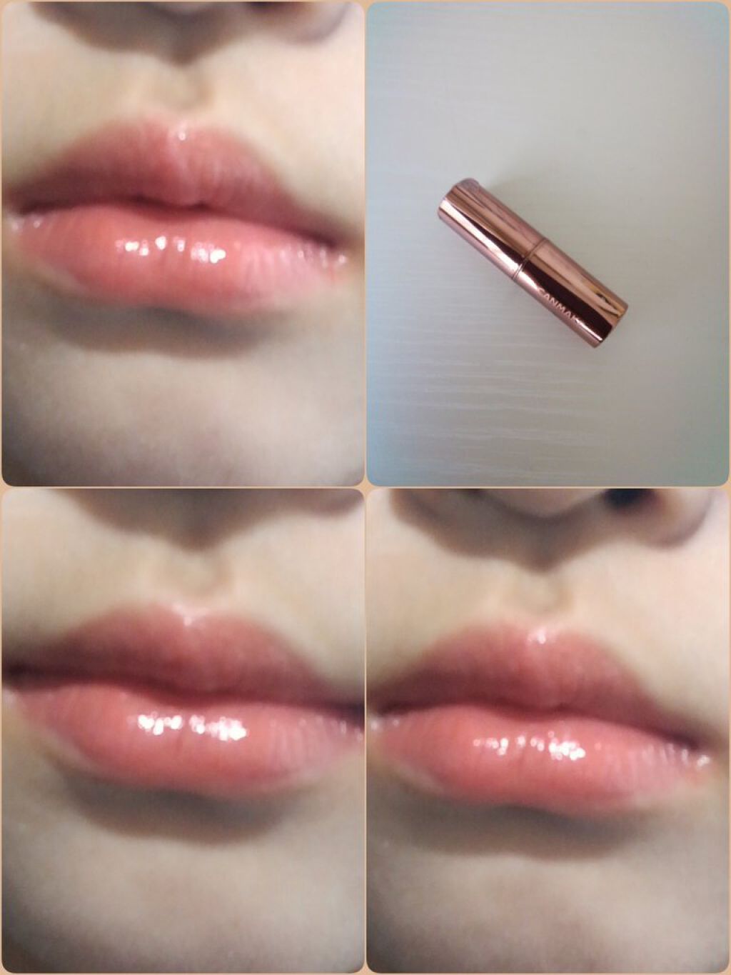 メルティールミナスルージュ(ティントタイプ)/キャンメイク/リップティントを使ったクチコミ(3枚目)