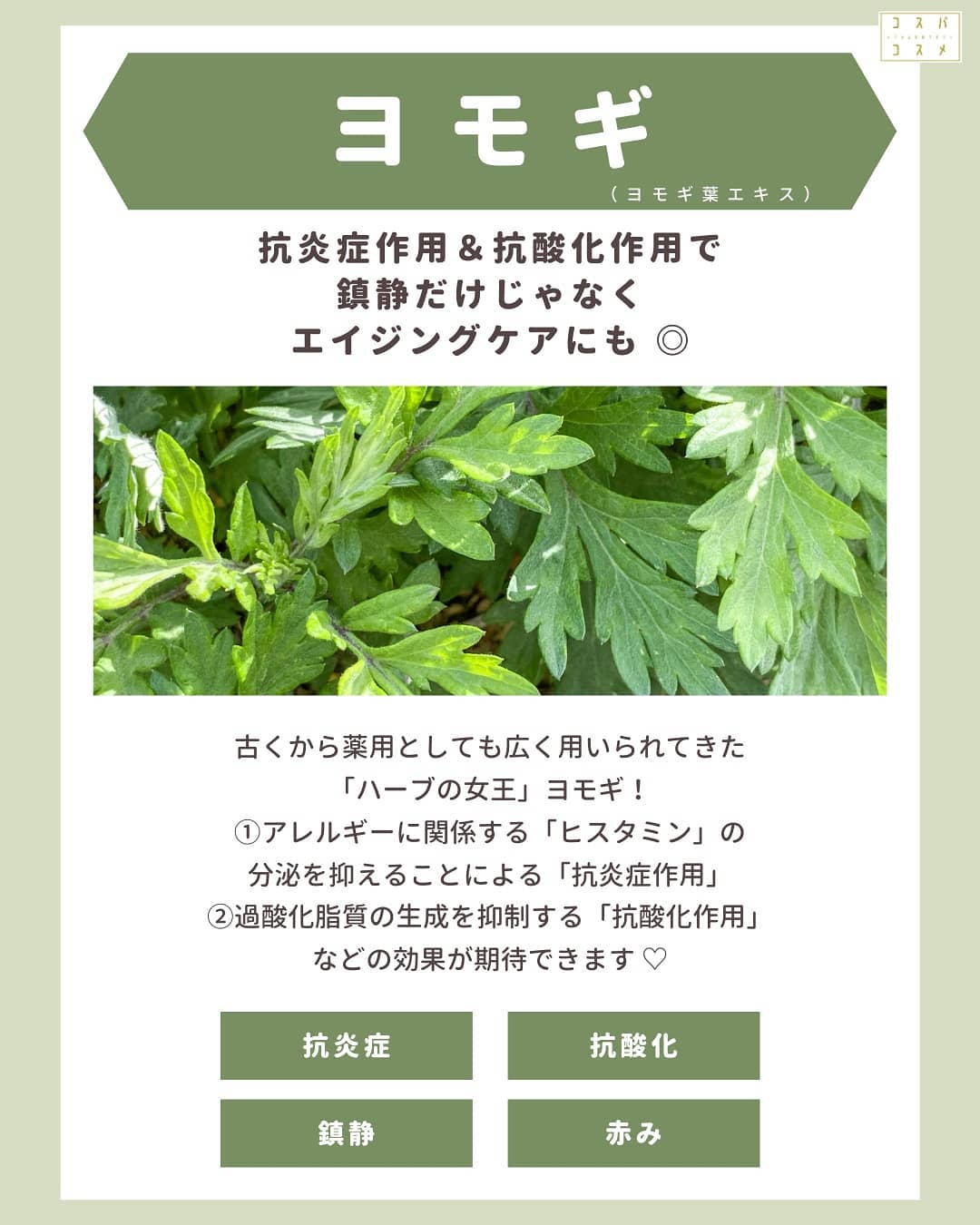 ミシャ AM トリートメントエッセンス（R）/MISSHA/ブースター・導入液を使ったクチコミ（2枚目）