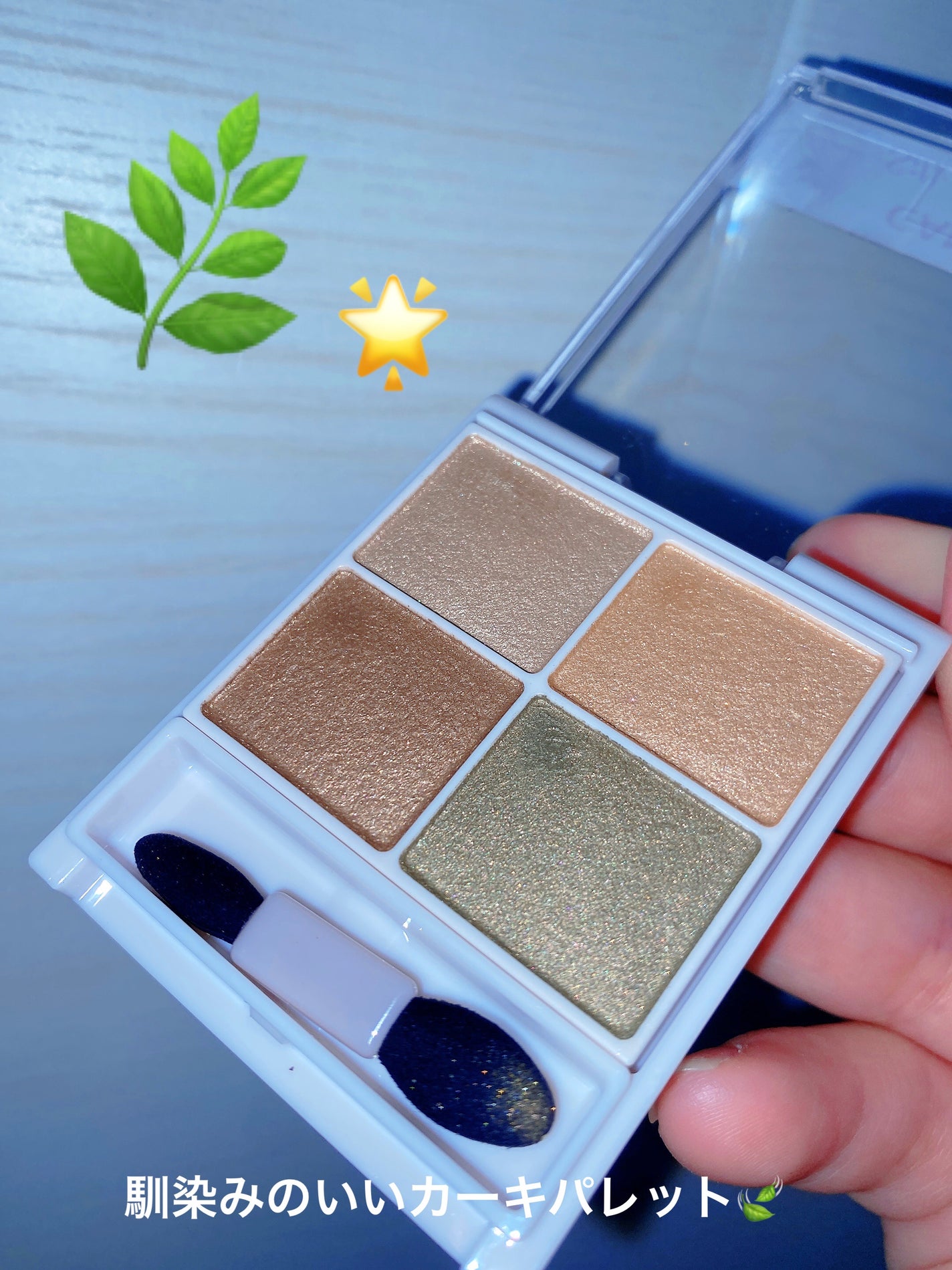シルキースフレアイズ/キャンメイク/アイシャドウパレットを使ったクチコミ(1枚目)