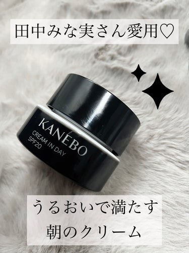 クリーム　イン　デイ/KANEBO/フェイスクリームを使ったクチコミ（1枚目）