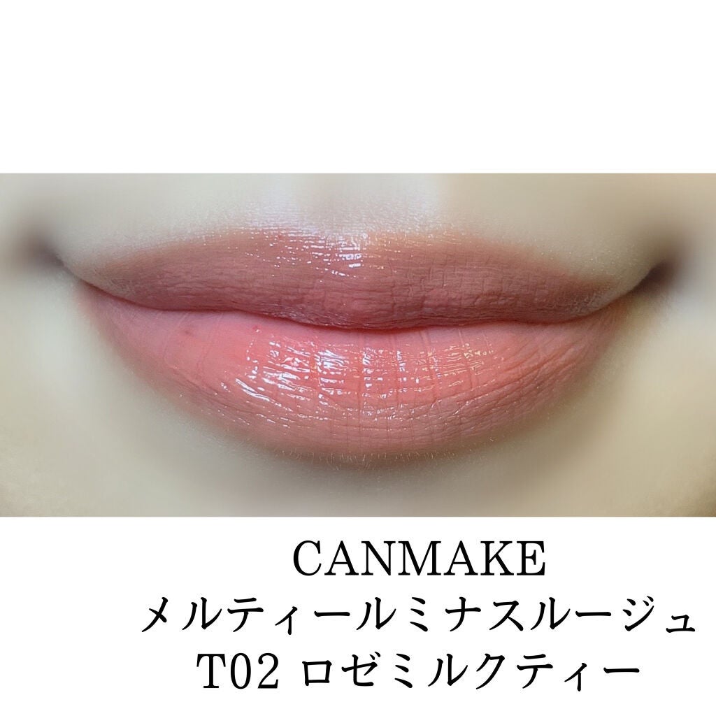 エクスプローラ12色 動物アイシャドウパレット/PERFECT DIARY/アイシャドウパレットを使ったクチコミ(2枚目)