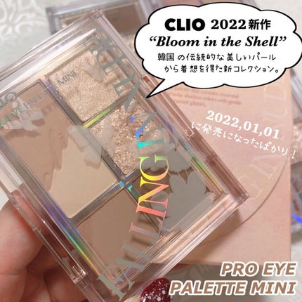 プロ アイパレット ミニ/CLIO/アイシャドウパレットを使ったクチコミ(2枚目)