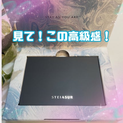 フィット my カラーパレット/STEIASUR(ステイアシュール)/マルチパレットを使ったクチコミ(2枚目)