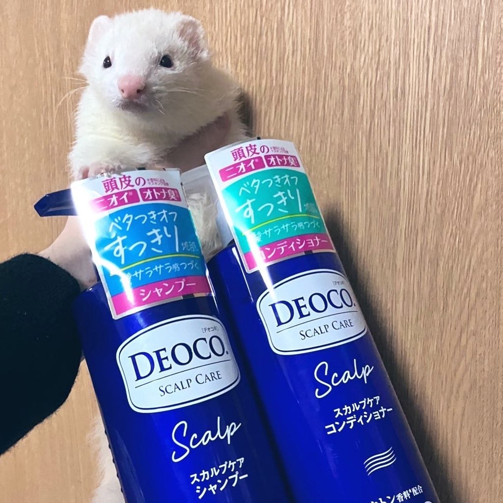 デオコ スカルプケアシャンプー/コンディショナー/DEOCO(デオコ)/市販シャンプーを使ったクチコミ(1枚目)