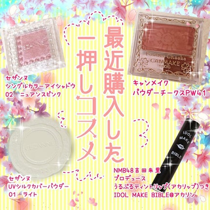 【旧品】パウダーチークス/キャンメイク/パウダーチークを使ったクチコミ(1枚目)