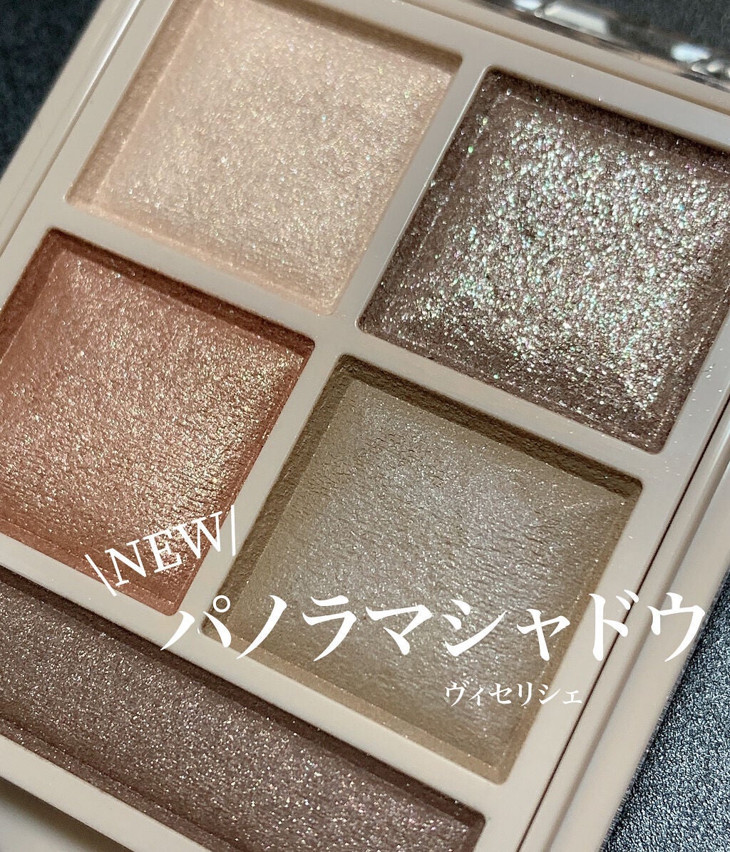 パノラマデザイン アイパレット/Visée/アイシャドウパレットを使ったクチコミ(1枚目)