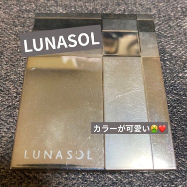 シアーコントラストアイズ/LUNASOL/パウダーアイシャドウを使ったクチコミ（1枚目）