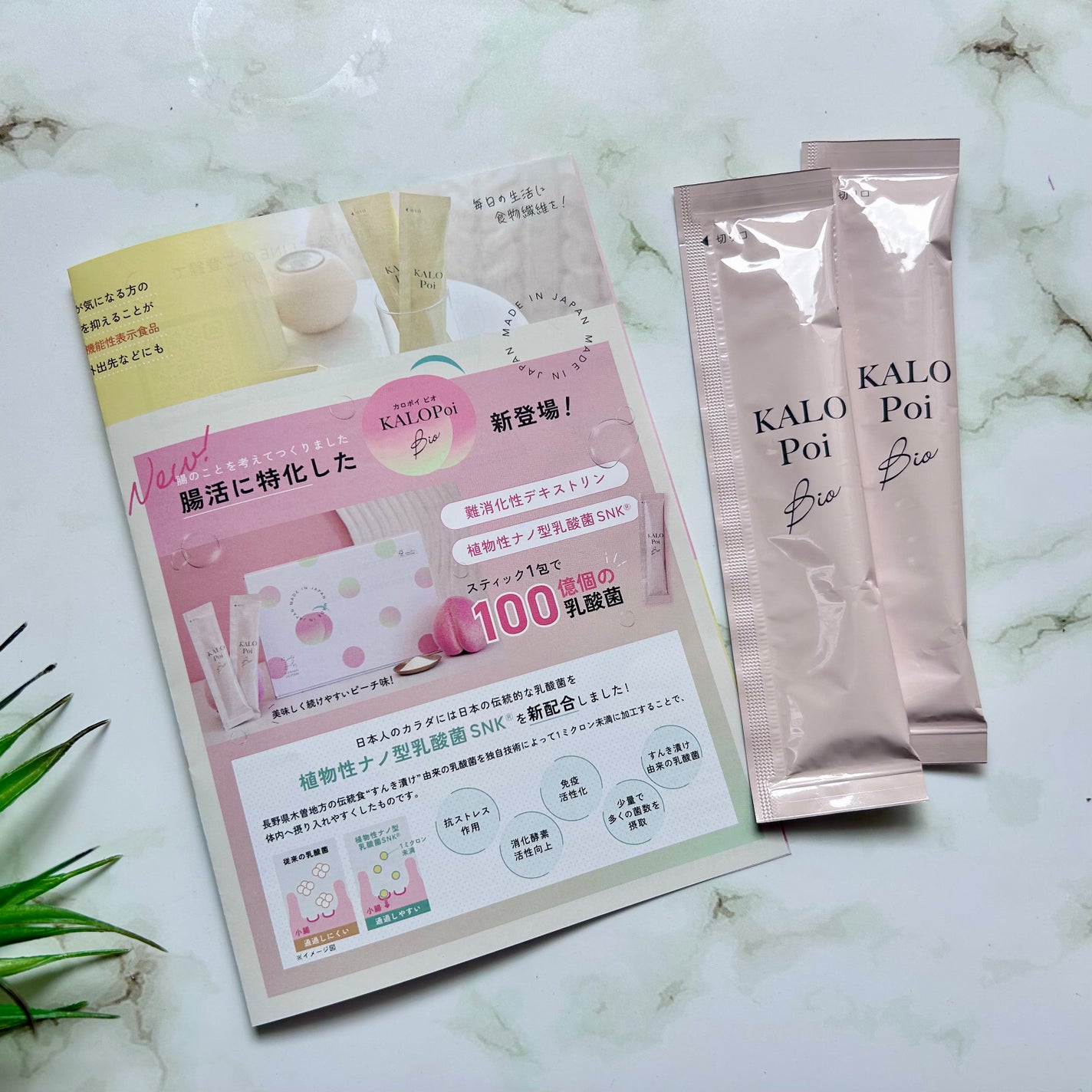 KALOPoi Bio/HANAKOLLECTION/食品を使ったクチコミ(6枚目)