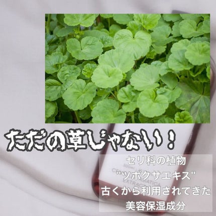 ツボクサ化粧水/ONE THING/化粧水を使ったクチコミ(2枚目)