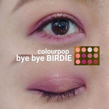 BYE BYE BIRDIE/ColourPop/アイシャドウパレットを使ったクチコミ(1枚目)