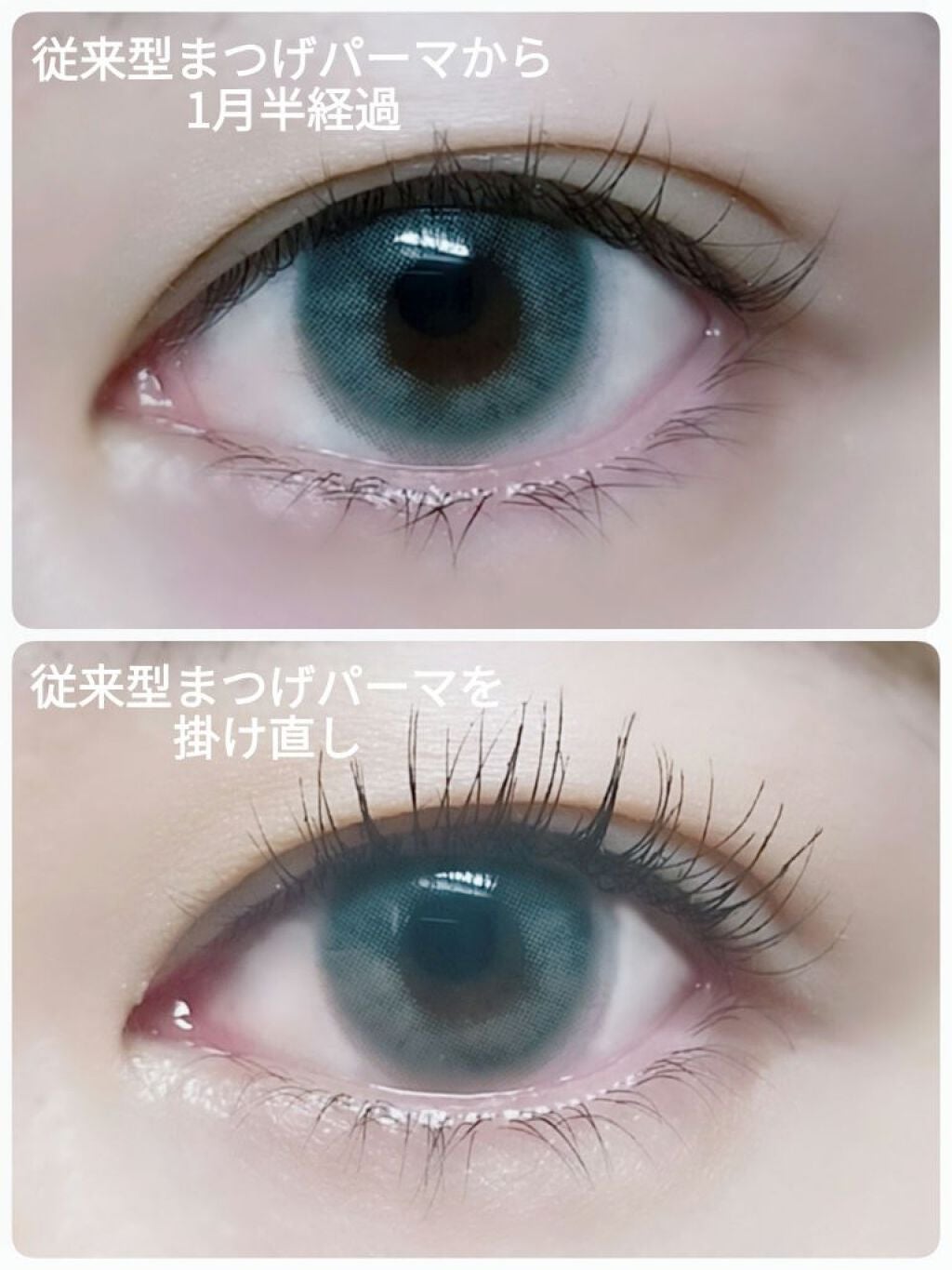 敏感肌な研究者💊あすか💊 on LIPS 「今回はまつげパーマについてです😊新技術も旧技術も受けたので、比..」(2枚目)