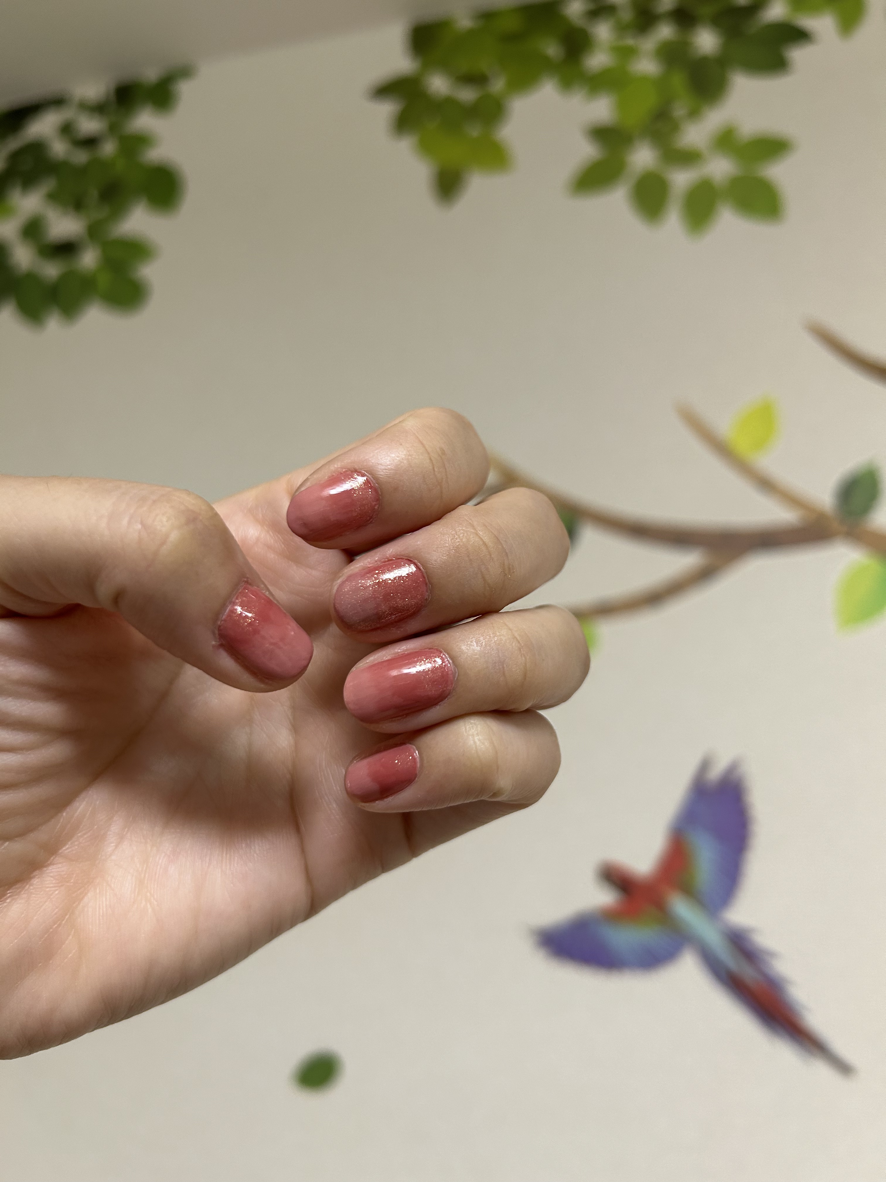 クイック ドライ ベース コート N/REVLON/ネイルベースコートを使ったクチコミ（2枚目）