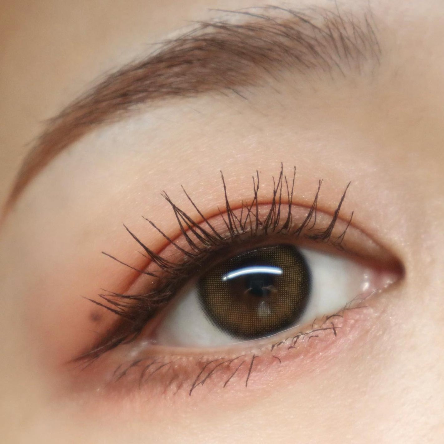 マカロングロウアイズ/LUNASOL/アイシャドウパレットを使ったクチコミ(6枚目)