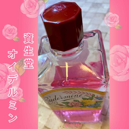 オイデルミン(N)/SHISEIDO/化粧水を使ったクチコミ(2枚目)