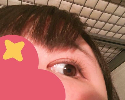 オペラ マイラッシュ アドバンスト/OPERA/マスカラを使ったクチコミ(2枚目)