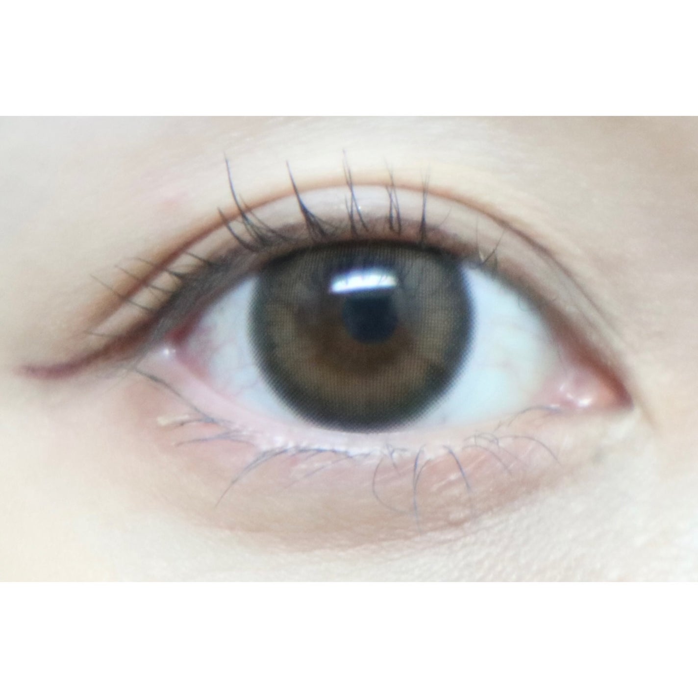 TOPARDS 1day/TOPARDS/ワンデー(1DAY)カラコンを使ったクチコミ(3枚目)