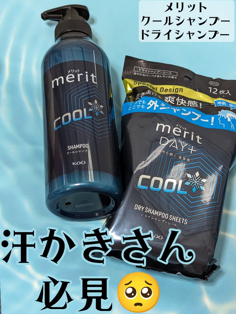 メリットのヘアケア・スタイリング クールシャンプー他、1商品を使った