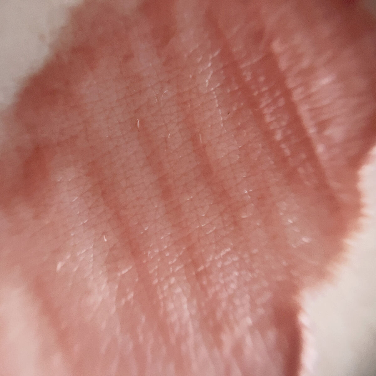 ジューシーラスティングティント ウィズミニセット/rom&nd/リップティントを使ったクチコミ（2枚目）