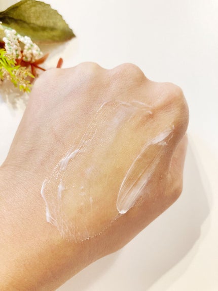 モイストバランシングマスクPro./ビービーラボラトリーズ/洗い流すパック・マスクを使ったクチコミ(5枚目)