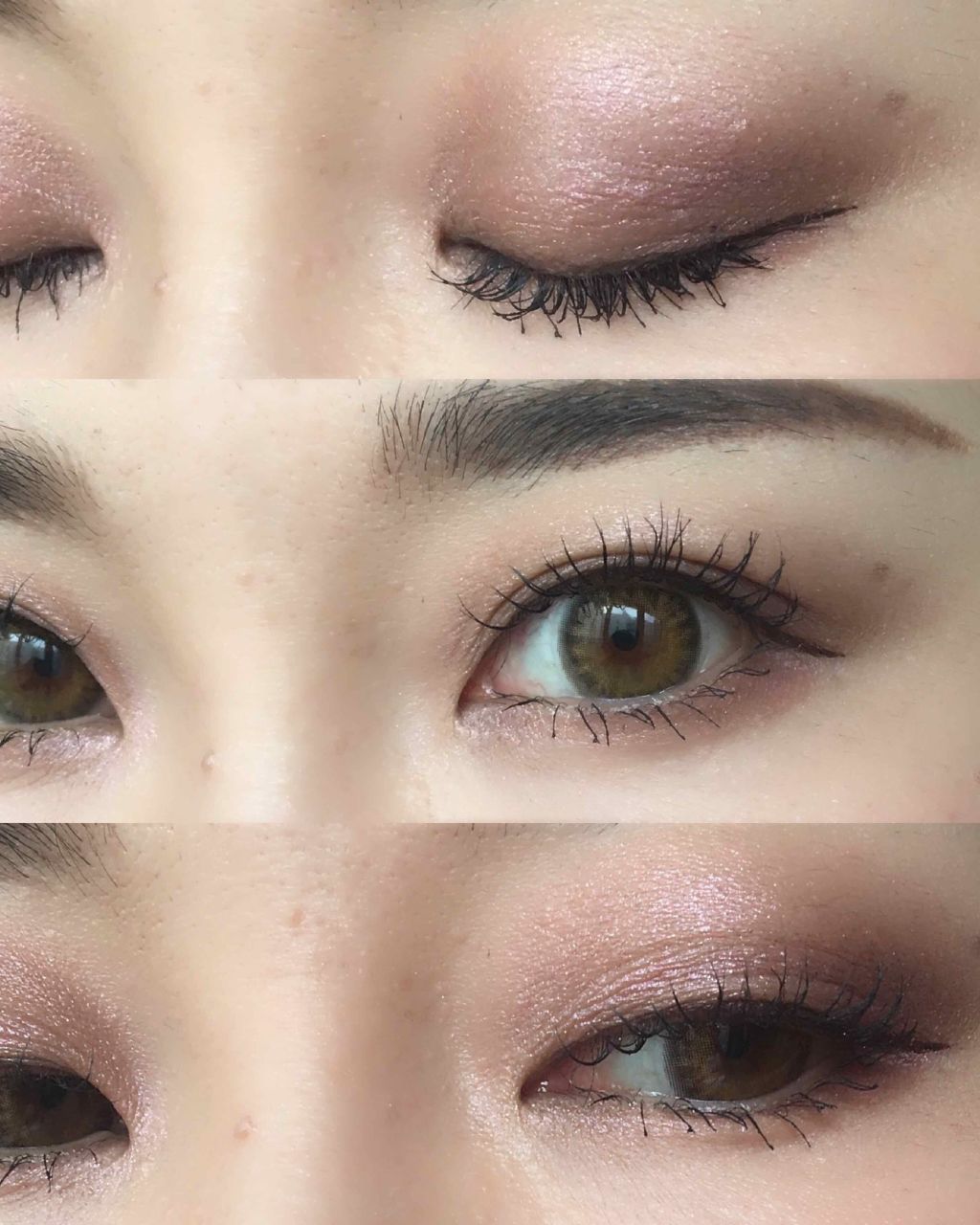 コンスピキュアス アイズ｜Amplitudeの人気色を比較