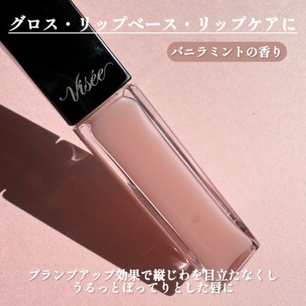 エッセンス リッププランパー/Visée/リッププランパーを使ったクチコミ(3枚目)