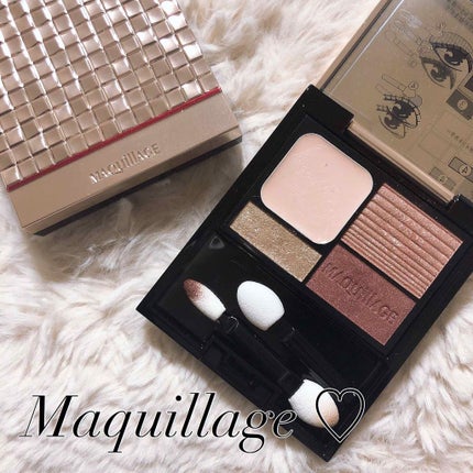 ドラマティックスタイリングアイズD BR613 トリュフチョコレート/マキアージュ/アイシャドウパレットを使ったクチコミ(1枚目)