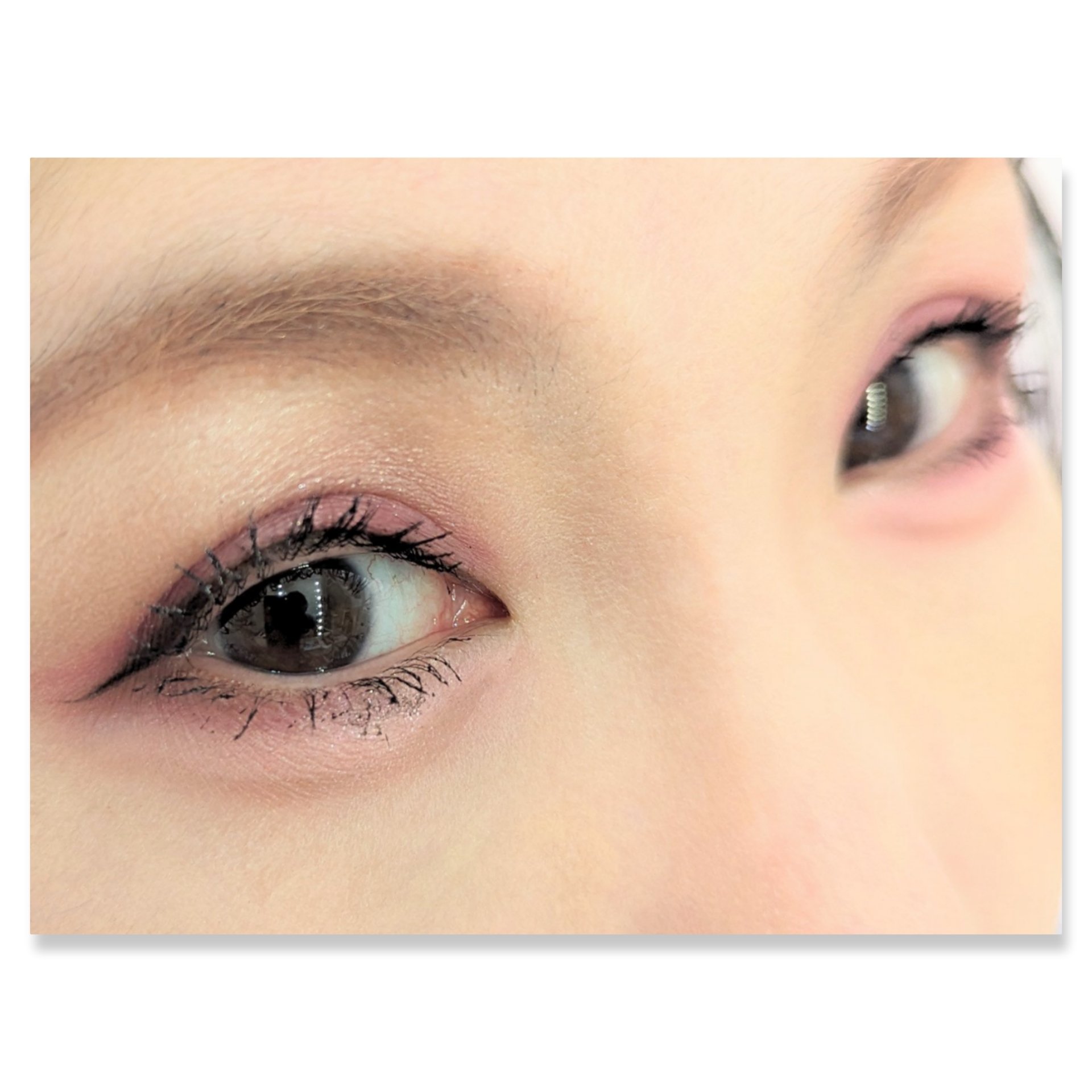 ショコラスウィート アイズ/リンメル ロンドン/アイシャドウパレットを使ったクチコミ（2枚目）