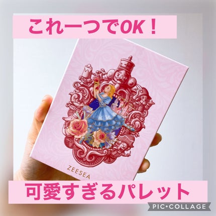 ZEESEAくるみ割り人形 キャンディクルーズ12色メイクアップパレット/ZEESEA/アイシャドウパレットを使ったクチコミ(1枚目)