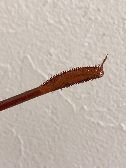 ラッシュエキスパンダー ロングロングロング EX/MAJOLICA MAJORCA/マスカラを使ったクチコミ(3枚目)