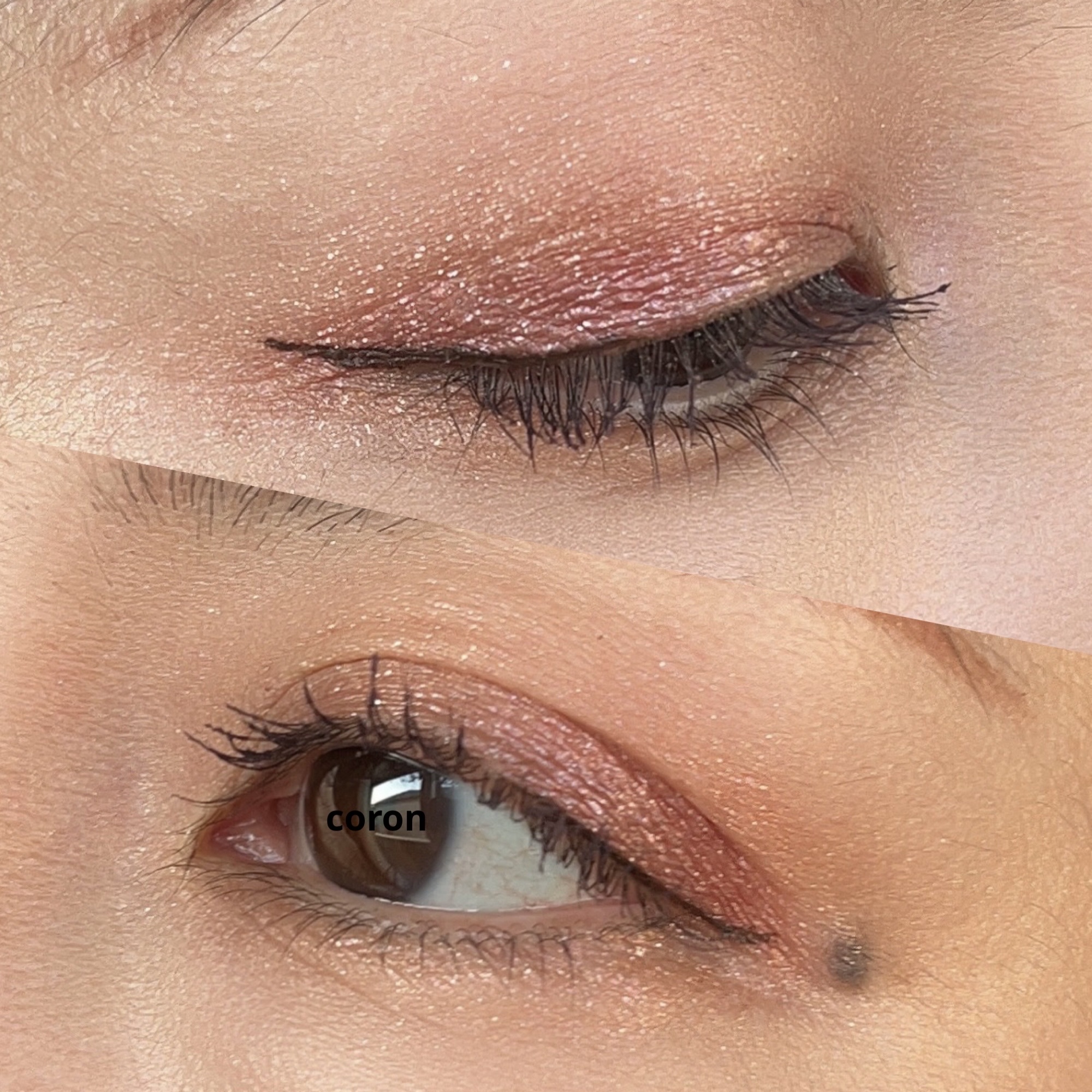 エクストラボリューム カラーマスカラ/Amplitude/マスカラを使ったクチコミ（2枚目）