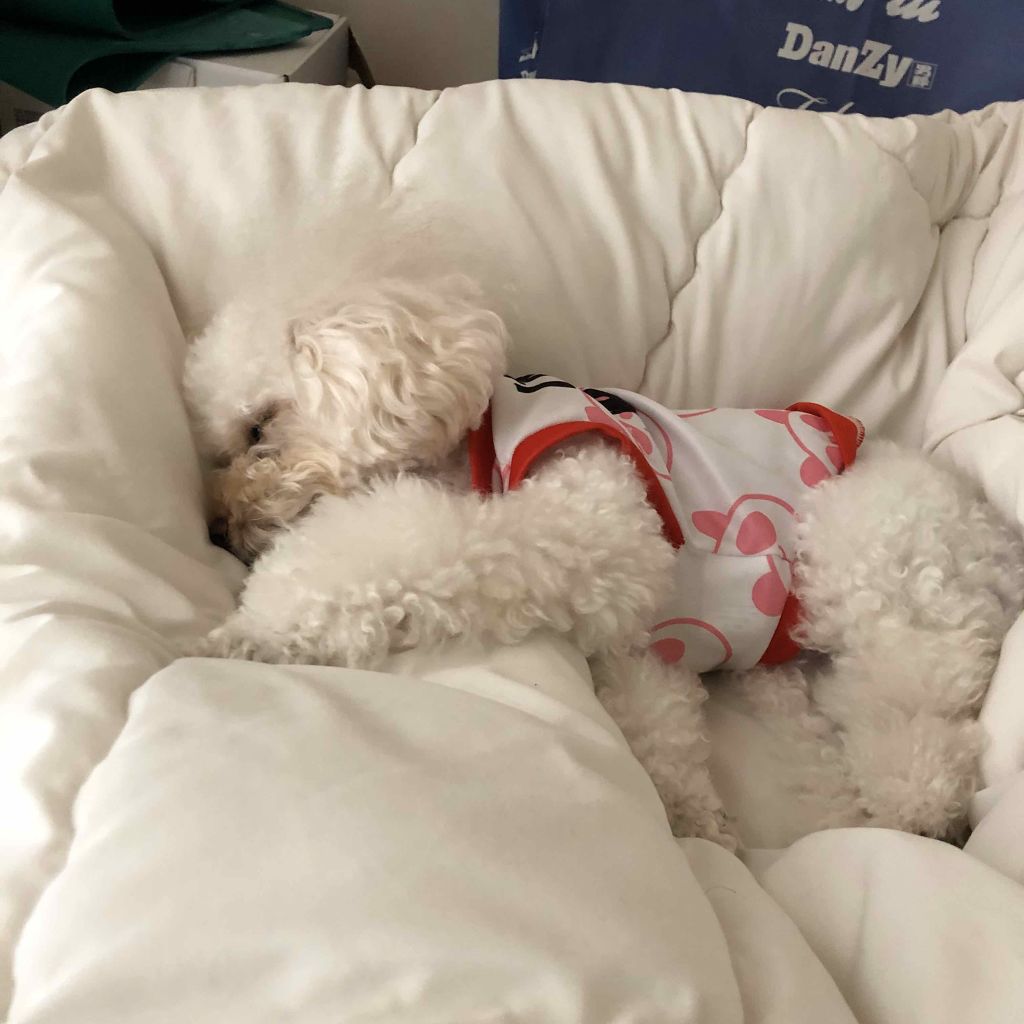 サンシビオ エイチツーオー D/ビオデルマ/クレンジングウォーターを使ったクチコミ(2枚目)