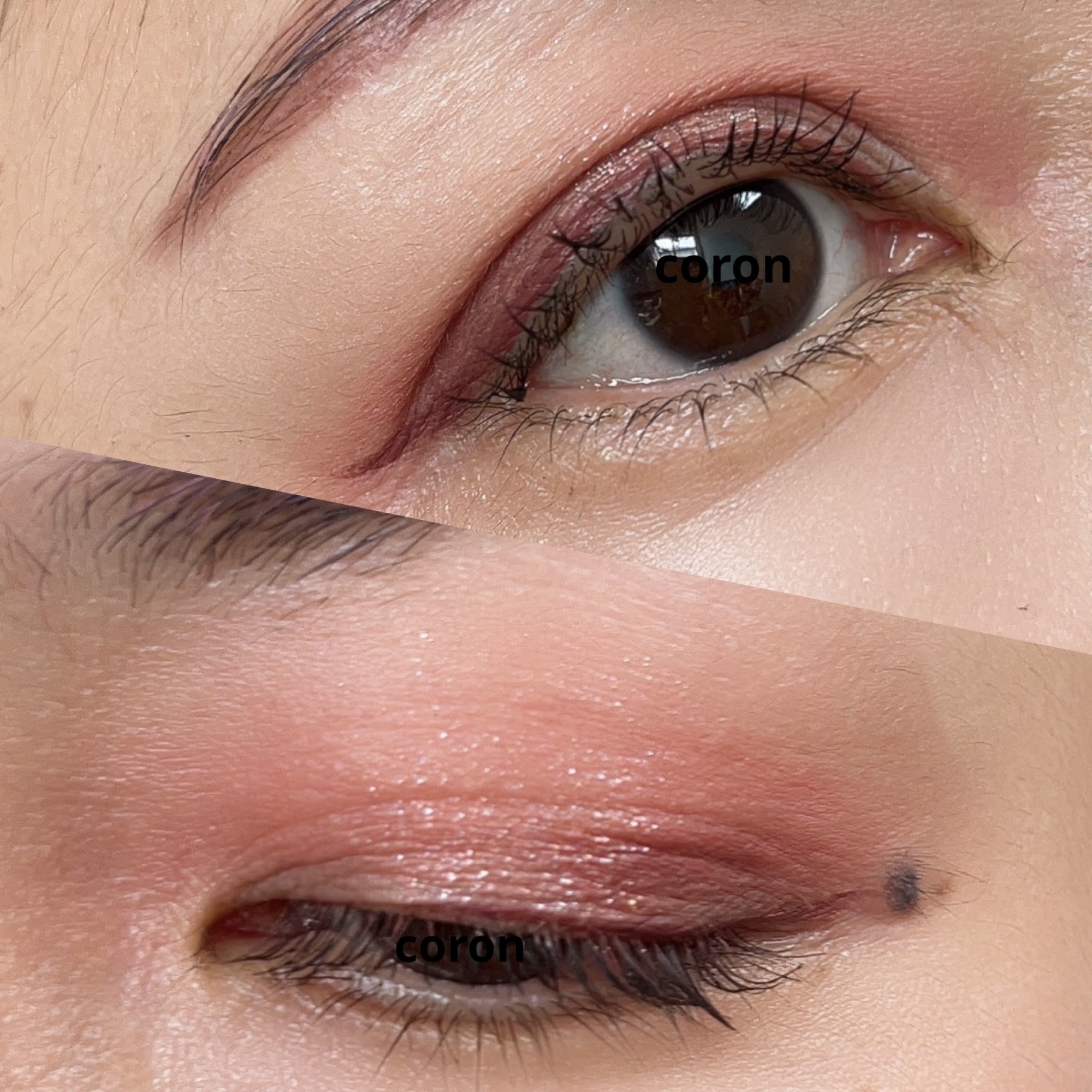 「塗るつけまつげ」ボリュームタイプ/デジャヴュ/マスカラを使ったクチコミ（2枚目）