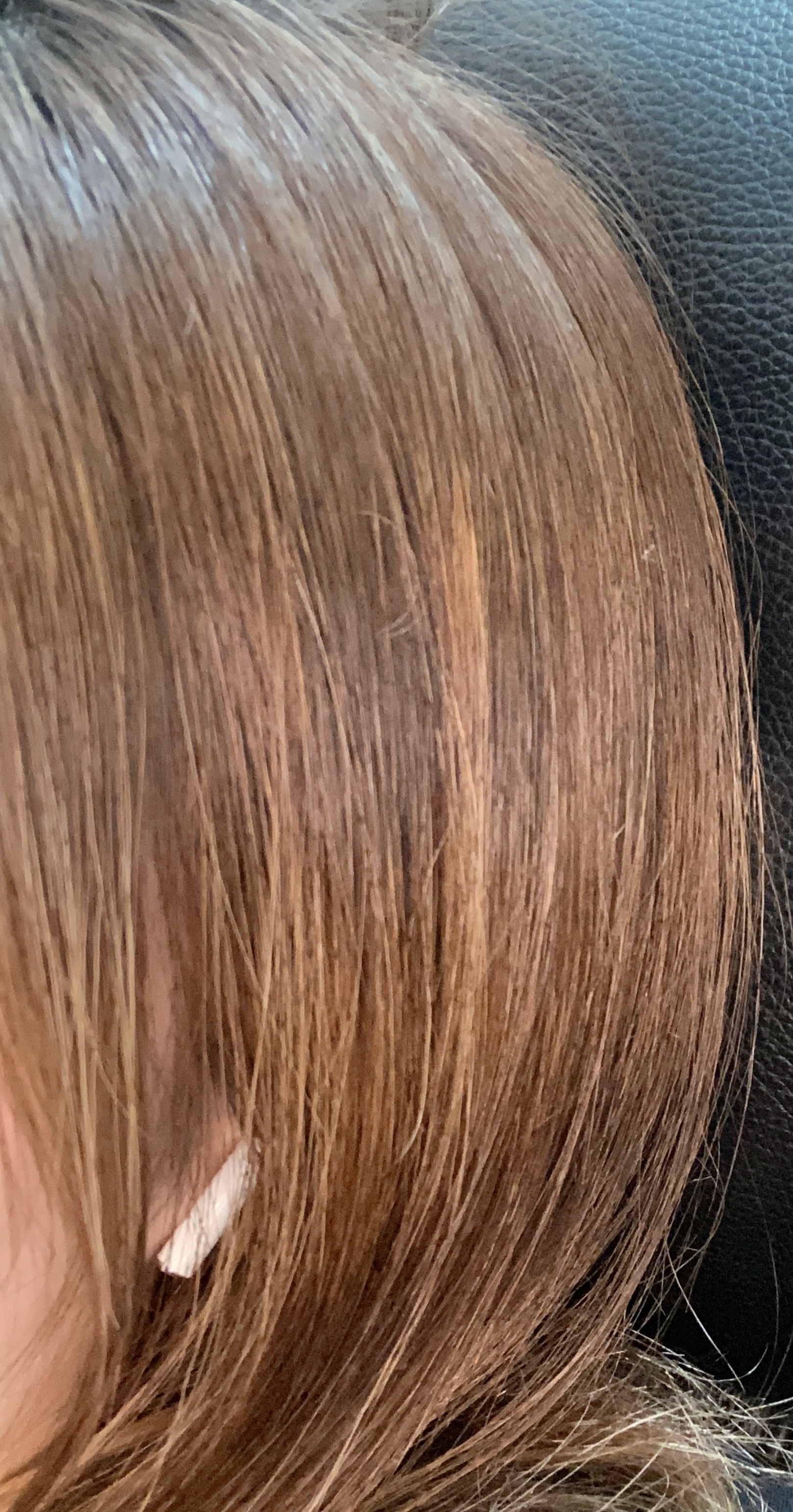 エイトザタラソ ユー CBD＆リフレッシング クレンズ 美容液シャンプー／CBD＆バランシング ダメージリペア 美容液ヘアトリートメント/エイトザタラソ/市販シャンプーを使ったクチコミ（2枚目）