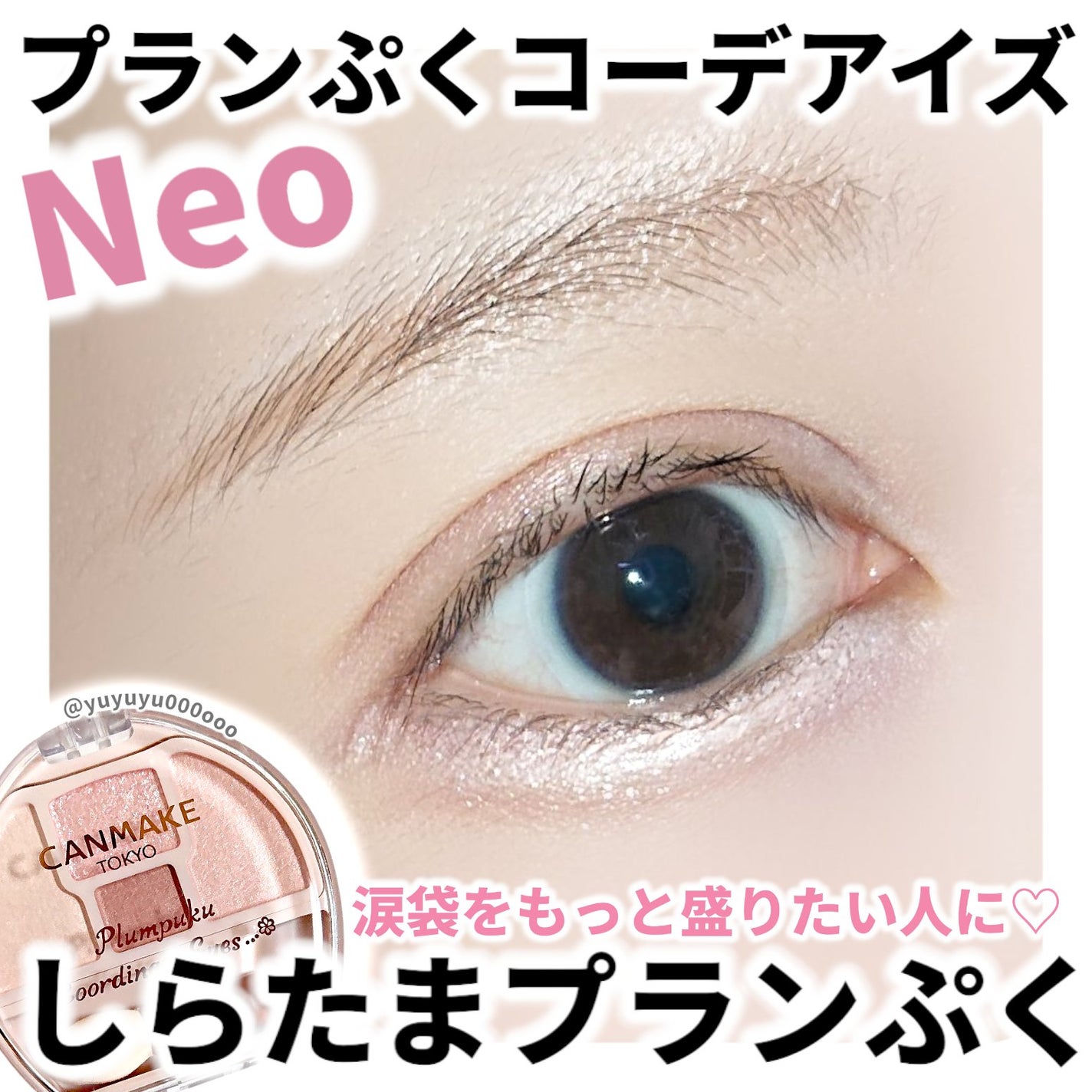 プランぷくコーデアイズ/キャンメイク/パウダーアイシャドウを使ったクチコミ(1枚目)