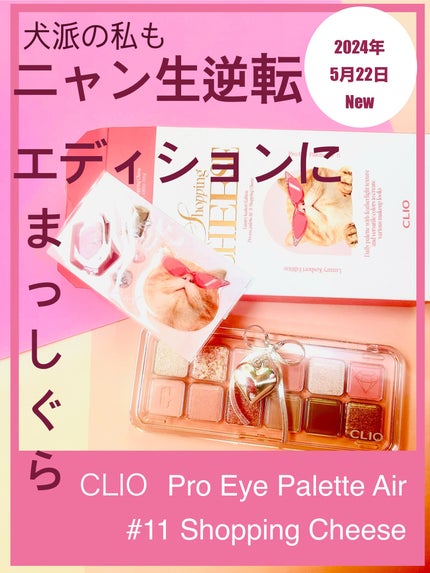 プロ アイ パレット エアー/CLIO/アイシャドウパレットを使ったクチコミ(1枚目)