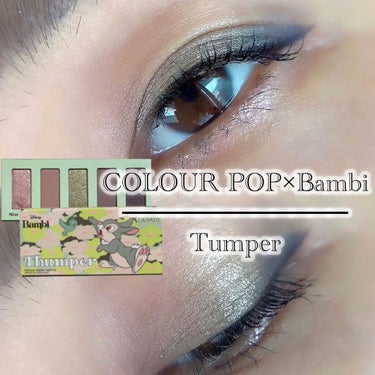 サンパーパレット バンビコレクション/ColourPop/パウダーアイシャドウを使ったクチコミ（1枚目）