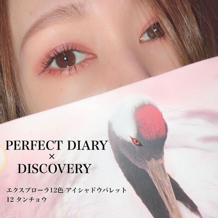 エクスプローラ12色 動物アイシャドウパレット/PERFECT DIARY/アイシャドウパレットを使ったクチコミ(1枚目)