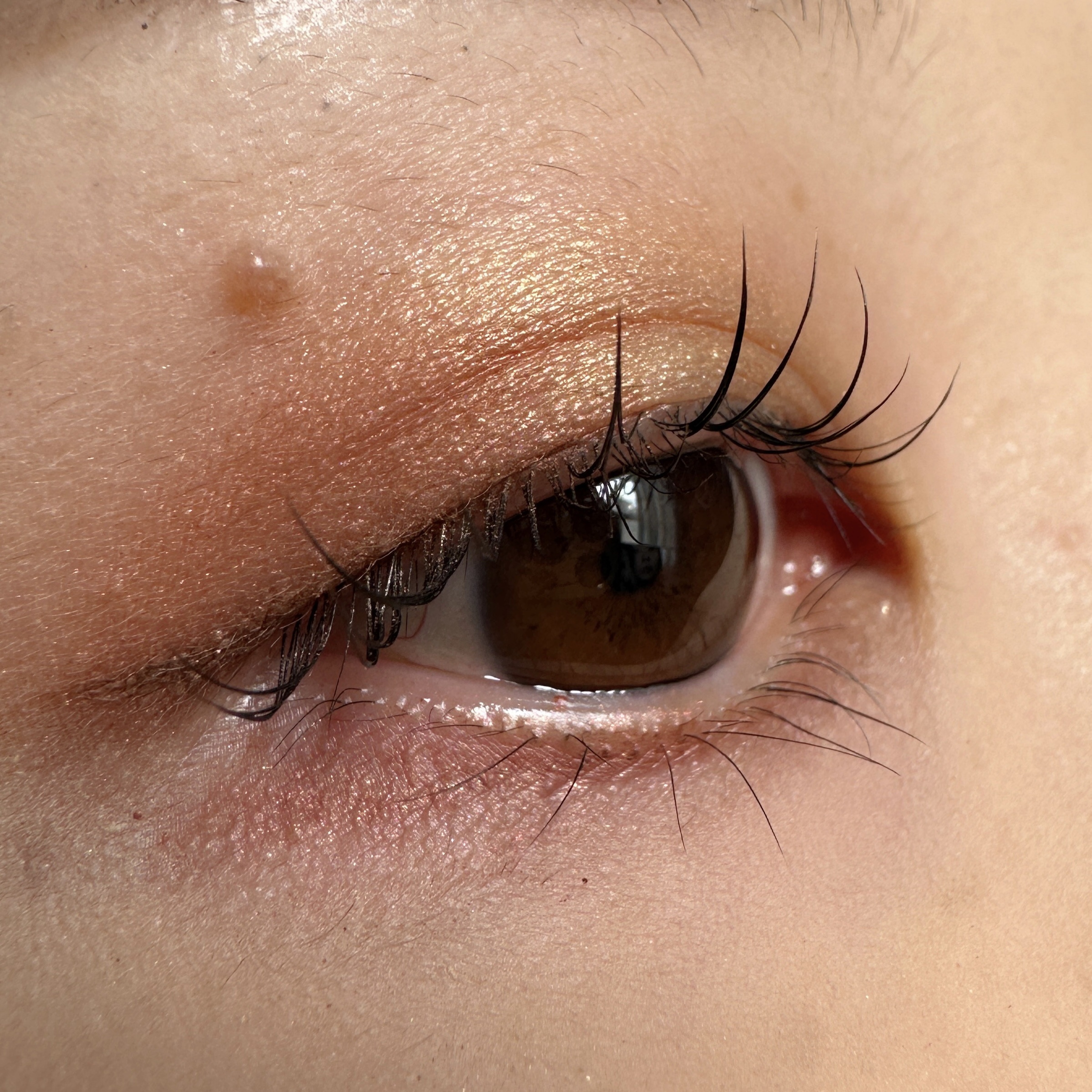 アイ カラー クォード 26 レオパード サン/TOM FORD BEAUTY/アイシャドウパレットを使ったクチコミ（2枚目）