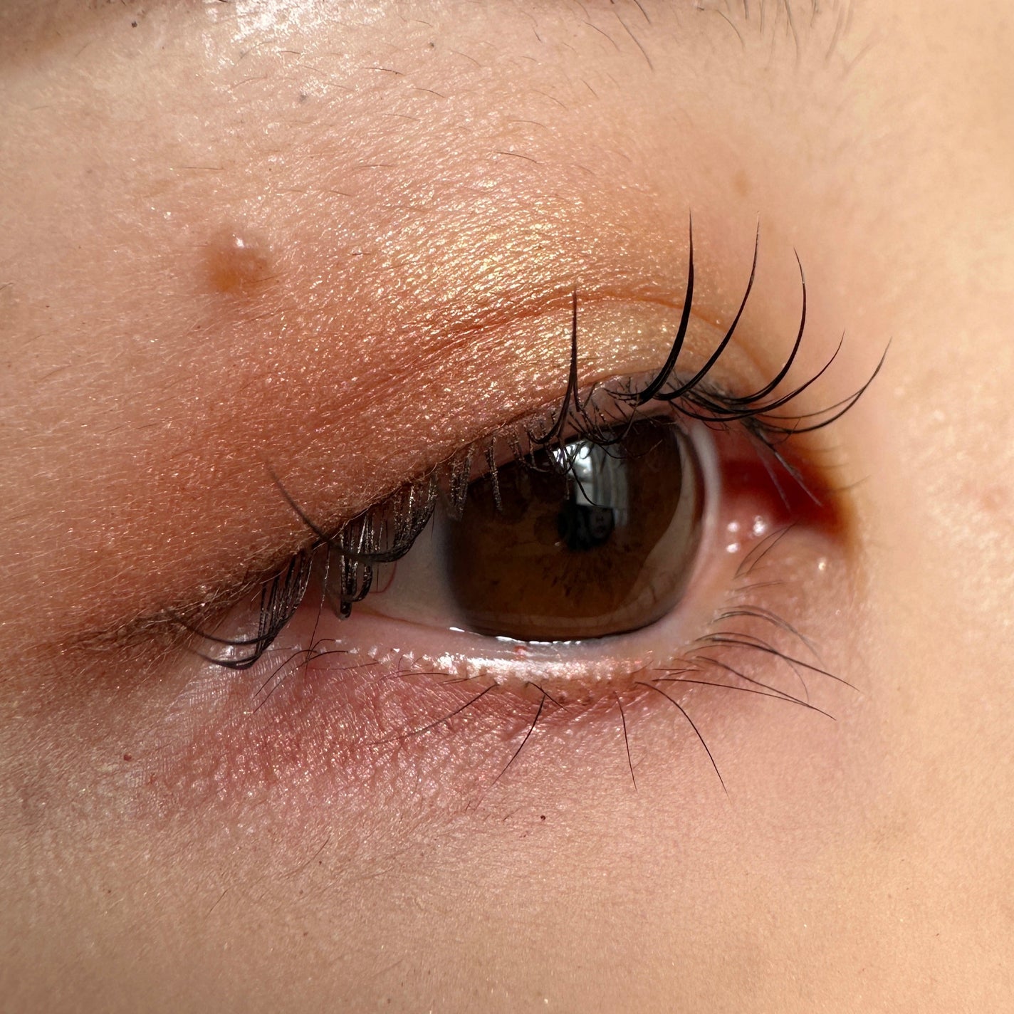 アイ カラー クォード/TOM FORD BEAUTY/アイシャドウパレットを使ったクチコミ(2枚目)