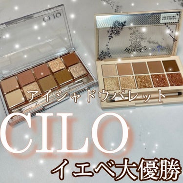 プロ アイ パレット/CLIO/パウダーアイシャドウを使ったクチコミ（1枚目）