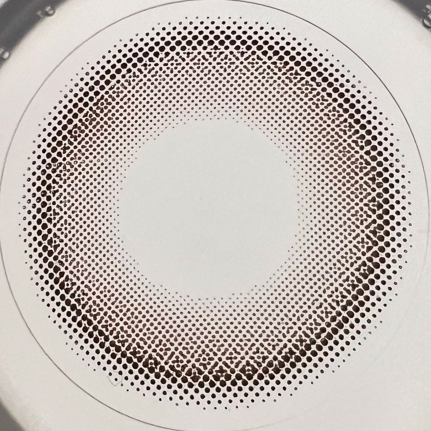 エバーカラーワンデー ナチュラル/エバーカラー/ワンデー(1DAY)カラコンを使ったクチコミ(6枚目)