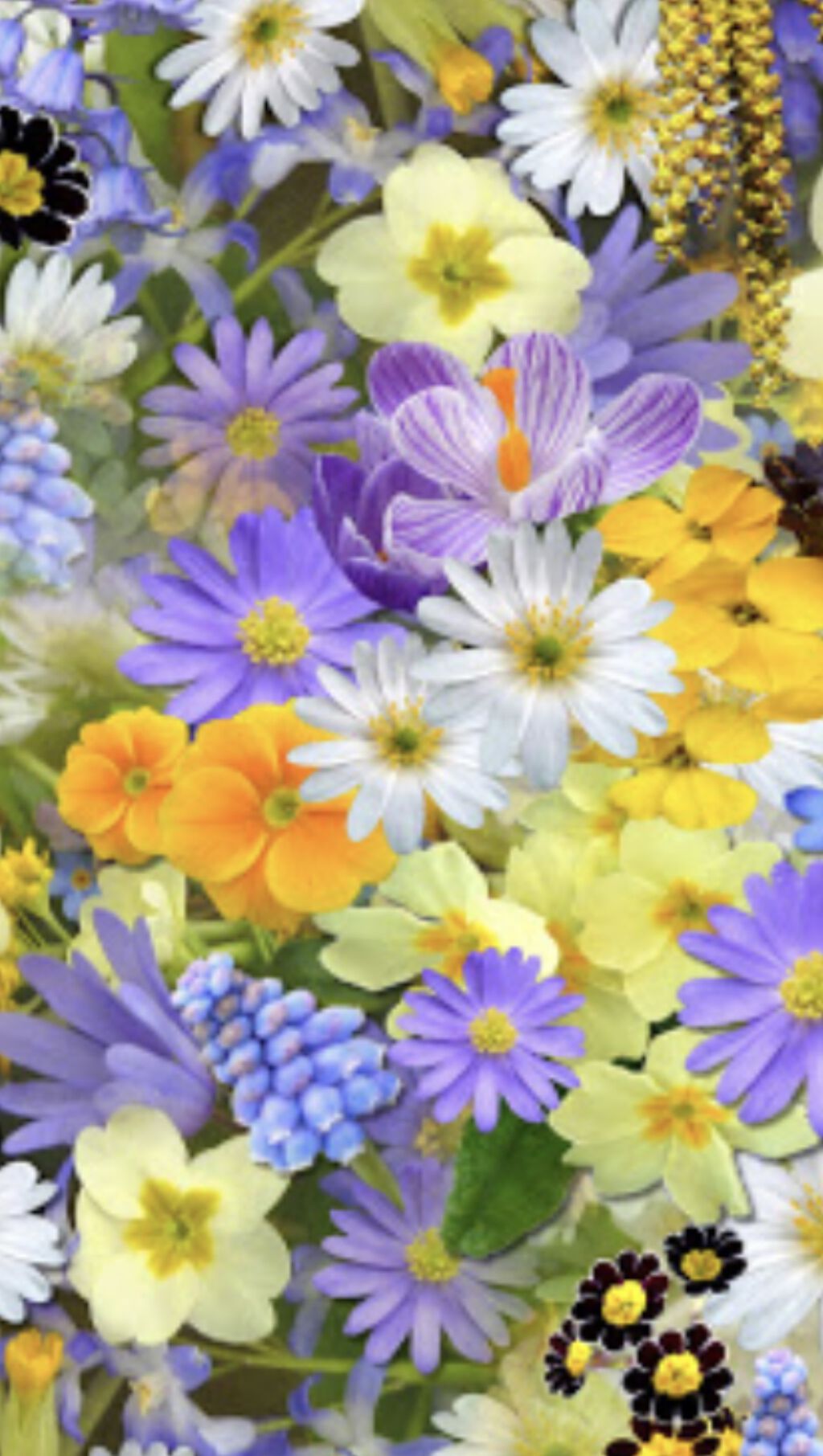 カラフルネイルズ/キャンメイク/マニキュアを使ったクチコミ（2枚目）