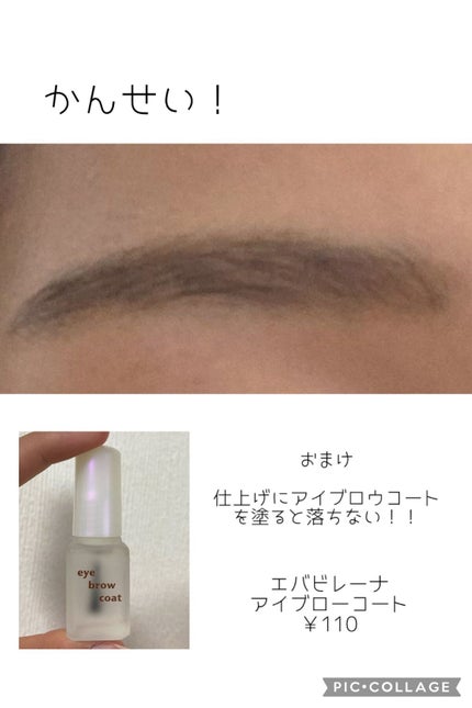エバビレーナ アイブローコート/DAISO/アイブロウコートを使ったクチコミ(6枚目)